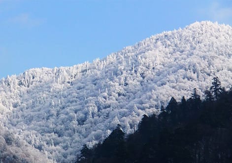 年末のご挨拶申し上げます。